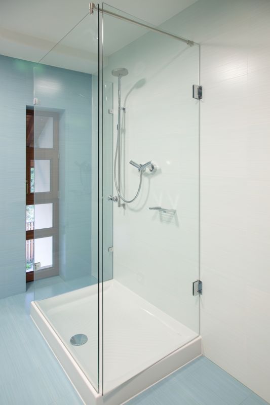 Sleek Shower Renovation
